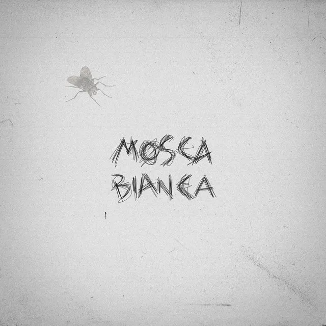 Mosca Bianca