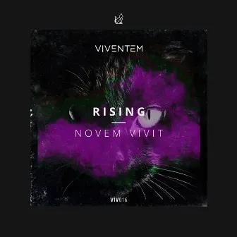 Rising by Novem Vivit