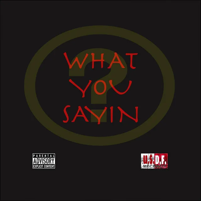 What You Sayin (Instrumental)