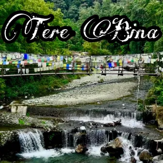 Tere Bina by Maadhav Raizada