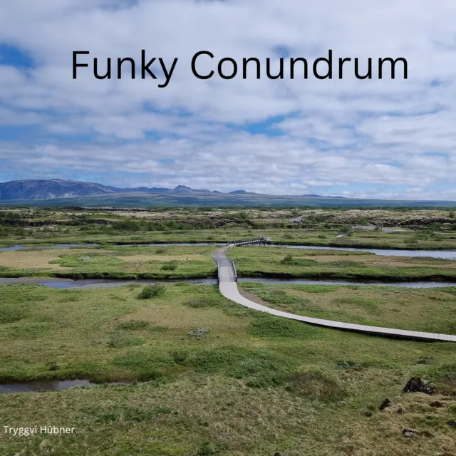 Funky Conundrum