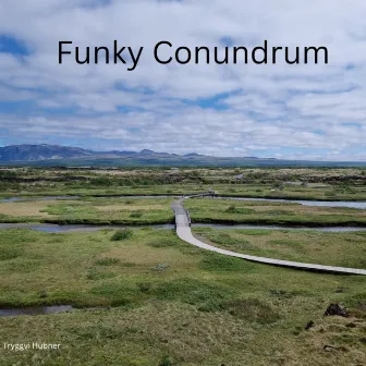 Funky Conundrum by Tryggvi Hübner