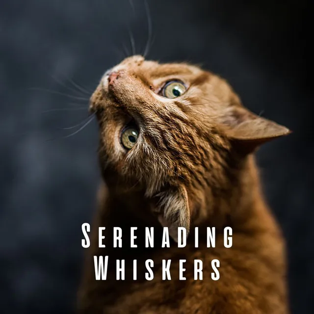 Serenading Whiskers: Meditative Piano for Happy Cats