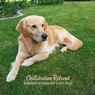 Chillstream Retreat: Ambient Waters for Calm Dogs by The Dog Music Guys