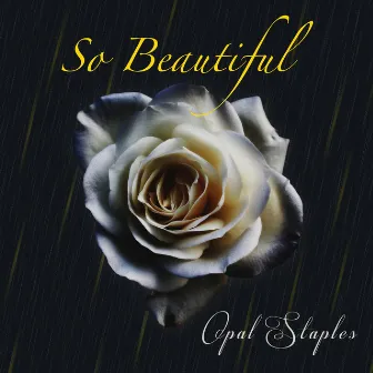 So Beautiful by Opal Staples