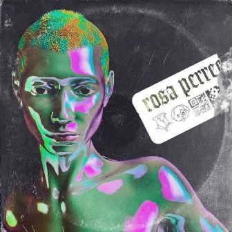 Rosa Perreo by Rosa Perreo