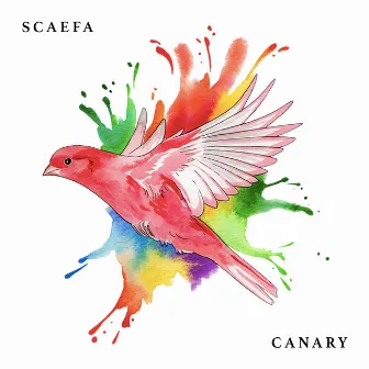 Canary by Scaefa