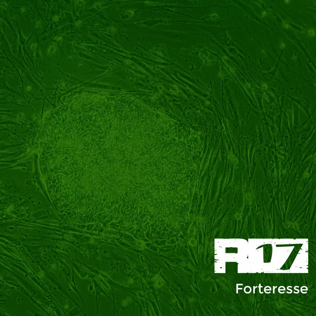 Forteresse - Remix