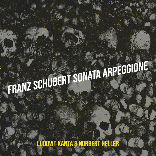 Franz Schubert Sonata Arpeggione