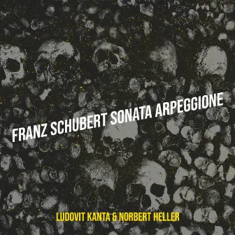 Franz Schubert Sonata Arpeggione by Ludovit Kanta