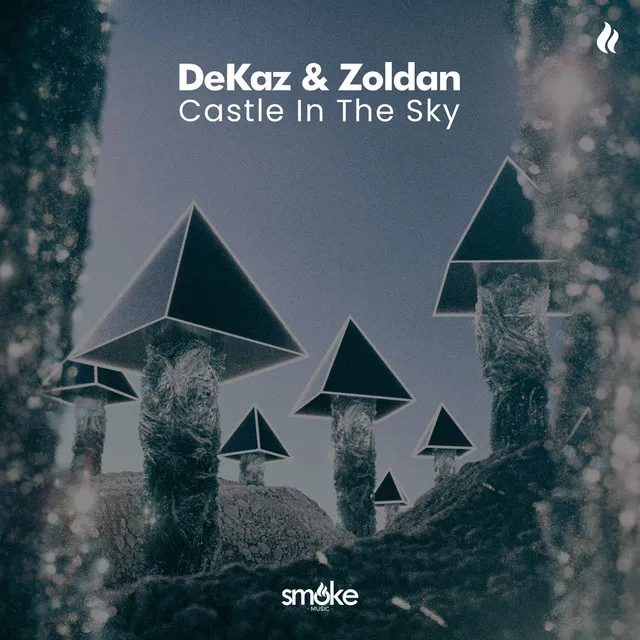 Castle In The Sky - Radio Edit