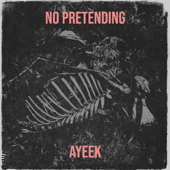 No Pretending by Ayeek