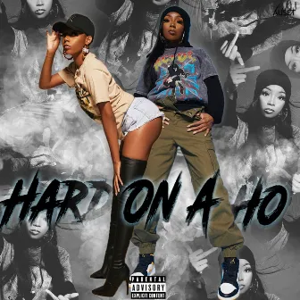 Hard On A Ho by Lily Auset