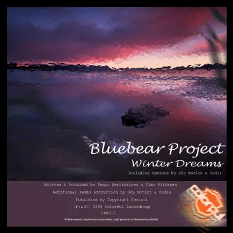 Winter Dreams by Bluebear Project