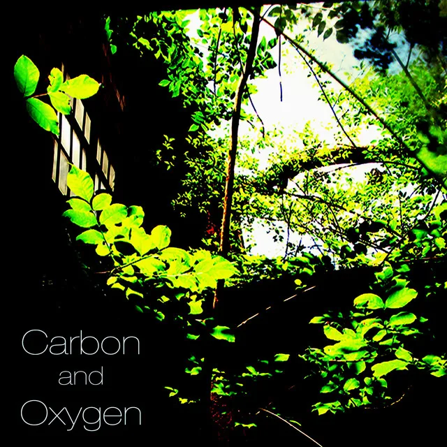 Carbon and Oxygen VI