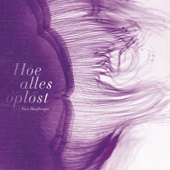 Hoe Alles Oplost by Nico Huijbregts