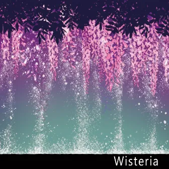 Wisteria by regulus