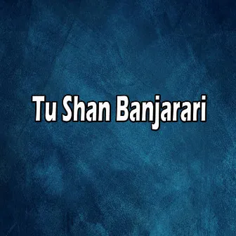 Tu Shan Banjarari by Atul Chavhan