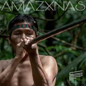 Amazxnas by Sagrada Flia.