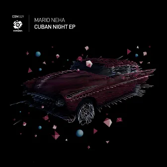 Cuban Night by Mario Neha