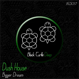 Bigger Dream by Dush House