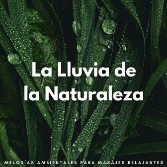 La Lluvia De La Naturaleza: Melodías Ambientales Para Masajes Relajantes by Conjunto de música de masaje definitivo