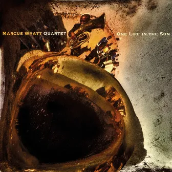 One Life in the Sun by Marcus Wyatt