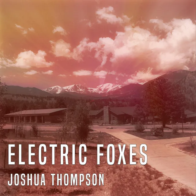 Electric Foxes