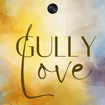 Gully Love by CNU beats