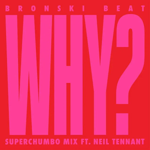 Why? (Superchumbo Extended Mix) [feat. Neil Tennant]