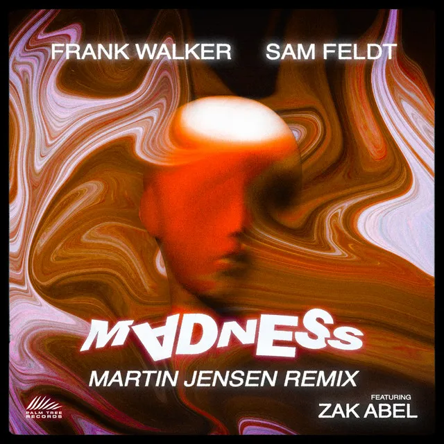 Madness (feat. Zak Abel) - Martin Jensen Remix