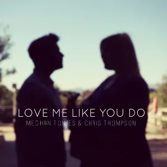 Love Me Like You Do by Chris Thompson