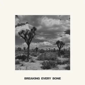 Breaking Every Bone by The Drifts