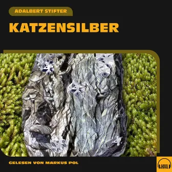 Katzensilber by Adalbert Stifter