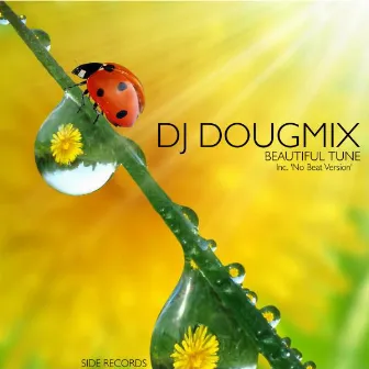 Beautiful Tune by DJ DougMix