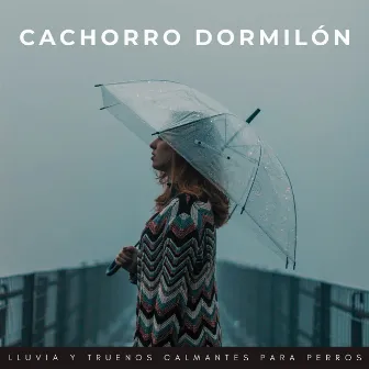 Cachorro Dormilón: Lluvia Y Truenos Calmantes Para Perros by Relájate la música de mi perro