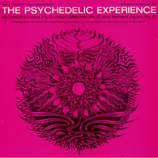 The Psychedelic Experience