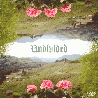 Undivided by Anna Byrd