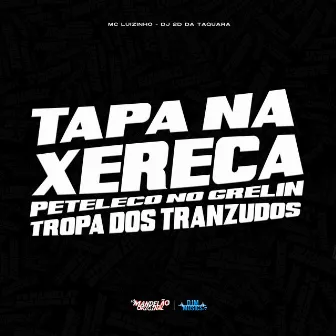 Tapa na Xereca Peteleco no Grelin Vs Tropa dos Tranzudos by Dj 2D DA TAQUARA