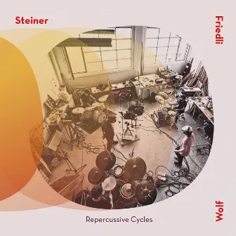 Repercussive Cycles by Lionel Friedli