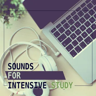 Sounds for Intensive Study – Classical Melodies to Study, Learning with Bach, Creative Mind, Effective Study by Studying Sessions Collection