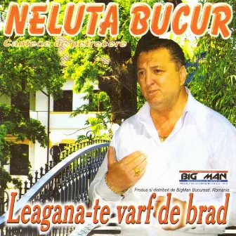 Leagana-Te Varf De Brad by Neluta Bucur