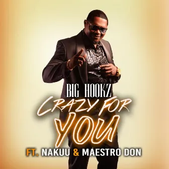 Crazy For You by Big Hookz