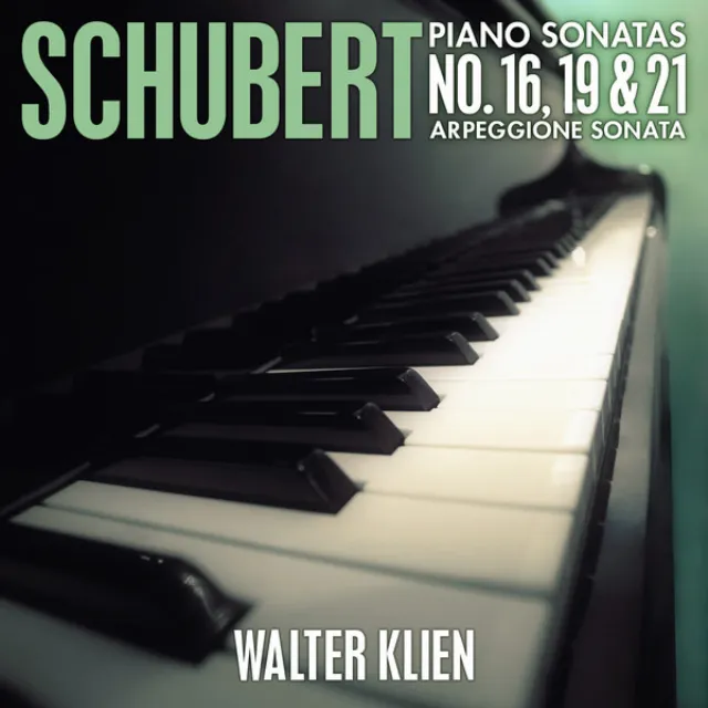 Sonata in A Minor for Arpeggione and Piano, D. 821: I. Allegro moderato