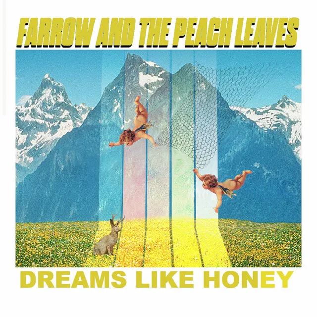 Dreams Like Honey