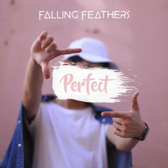 Perfect by Falling Feathers