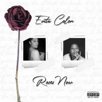 Roses Now by Evita Colon