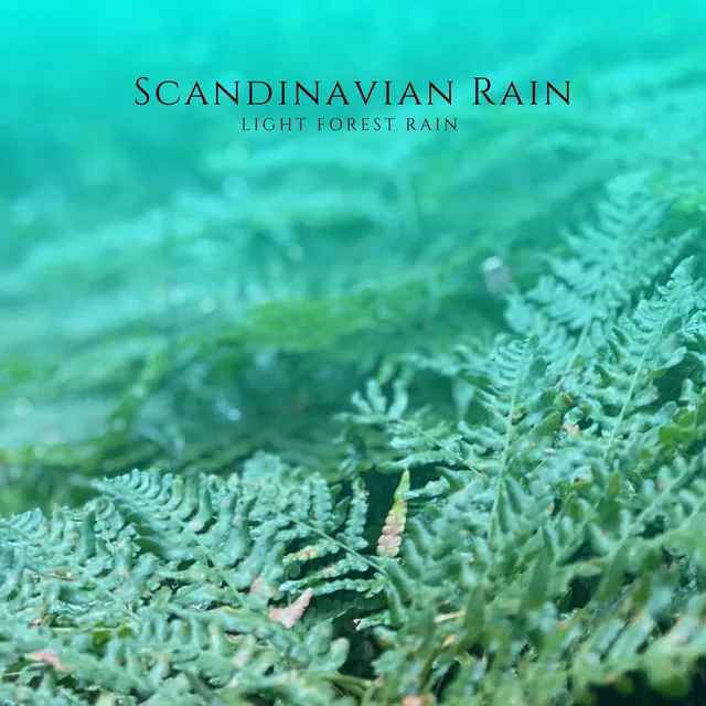 Scandinavian Rain