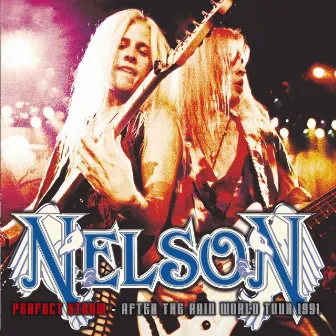 Perfect Storm (After The Rain World Tour 1991) by Nelson