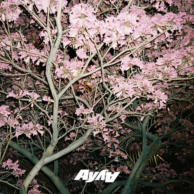 what you need - AY AY house flip (feat. QNTN)